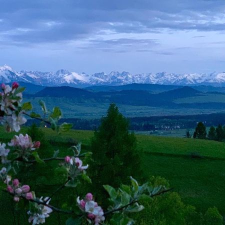 Koza U Woza Wypocznij W Gorach W Rytmie Slow Drewniany Dom Premium Z Widokiem Na Panorame Tatr Ecospa Strefa Fitness Zielona Farma Warsztaty (Adults Only) Szlembark Exterior photo
