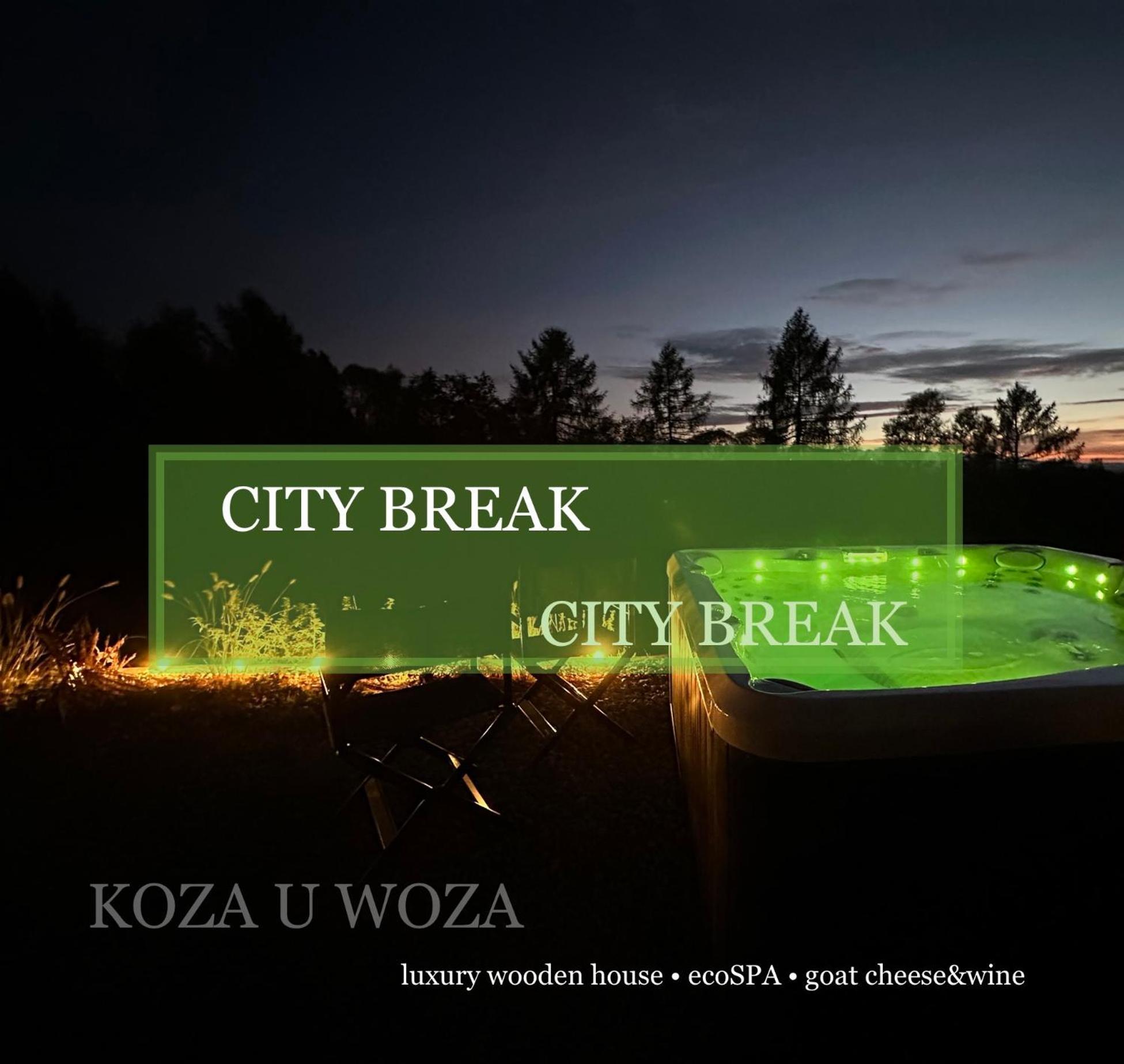 Koza U Woza Wypocznij W Gorach W Rytmie Slow Drewniany Dom Premium Z Widokiem Na Panorame Tatr Ecospa Strefa Fitness Zielona Farma Warsztaty (Adults Only) Szlembark Exterior photo