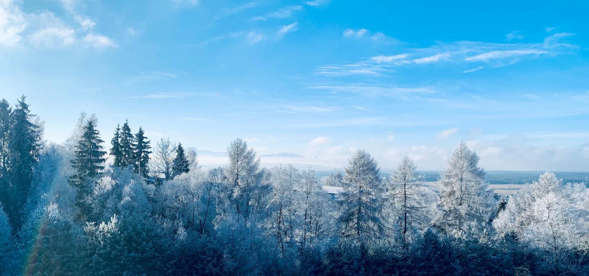 Koza U Woza Wypocznij W Gorach Luksusowo W Rytmie Slowlife Z Widokiem Na Panorame Tatr Ecospa Strefa Fitness E-Bike Zielona Farma (Adults Only) Villa Szlembark Exterior photo