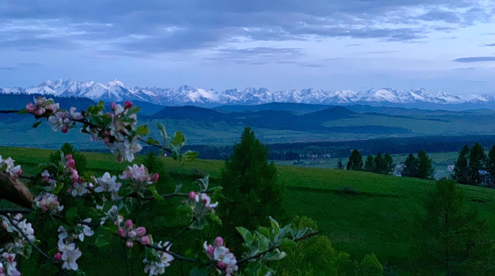 Koza U Woza Wypocznij W Gorach Luksusowo W Rytmie Slowlife Z Widokiem Na Panorame Tatr Ecospa Strefa Fitness E-Bike Zielona Farma (Adults Only) Villa Szlembark Exterior photo