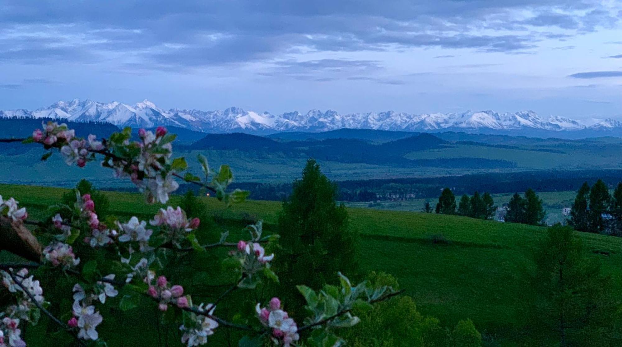Koza U Woza Wypocznij W Gorach W Rytmie Slow Drewniany Dom Premium Z Widokiem Na Panorame Tatr Ecospa Strefa Fitness Zielona Farma Warsztaty (Adults Only) Szlembark Exterior photo