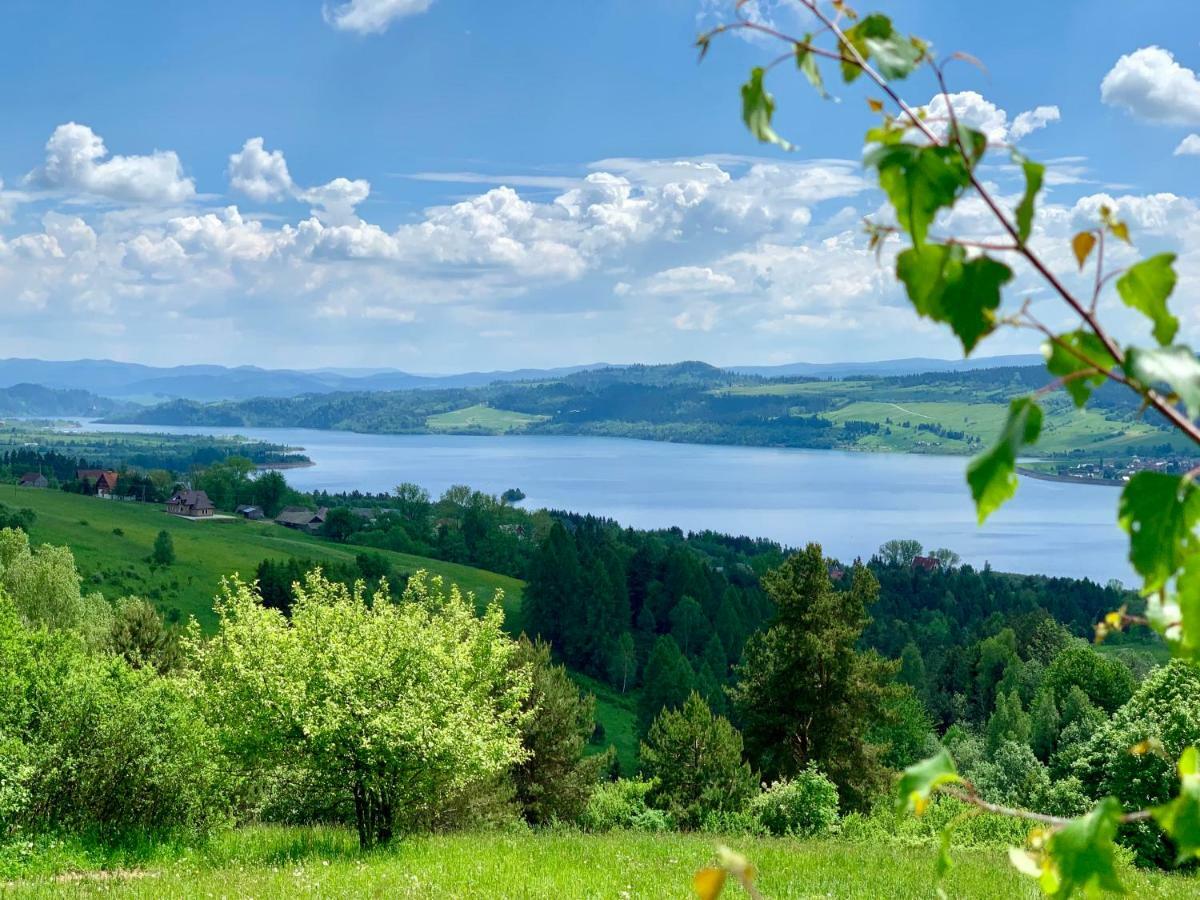 Koza U Woza Wypocznij W Gorach W Rytmie Slow Drewniany Dom Premium Z Widokiem Na Panorame Tatr Ecospa Strefa Fitness Zielona Farma Warsztaty (Adults Only) Szlembark Exterior photo